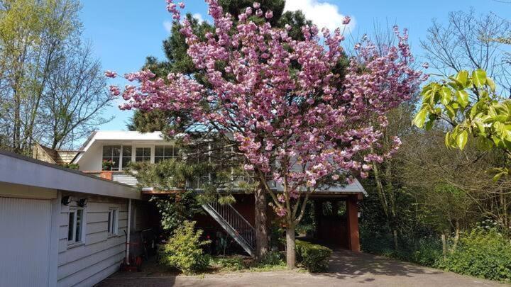 Welcome In - Appartement - Valkenisseweg 68 L Biggekerke 'Strand Appartement' 외부 사진